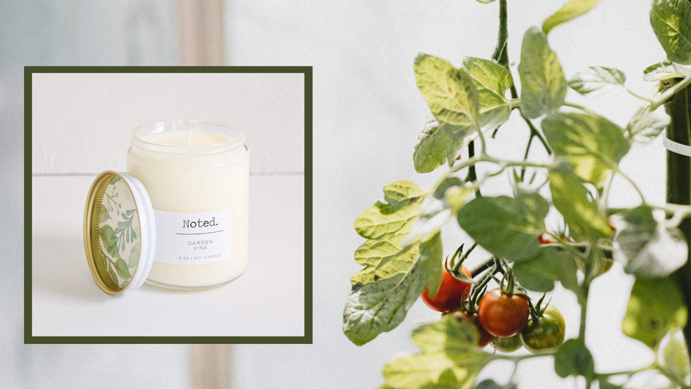 Get To Know: Garden Vine