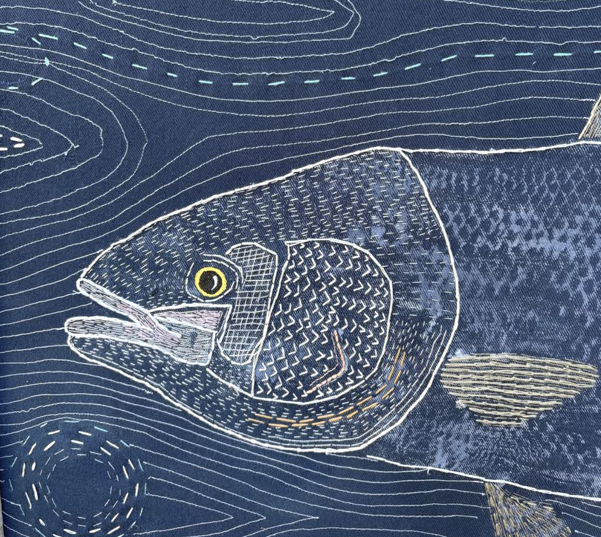 The Art of the Catch: Jenna Reedy's Coastal Impressions