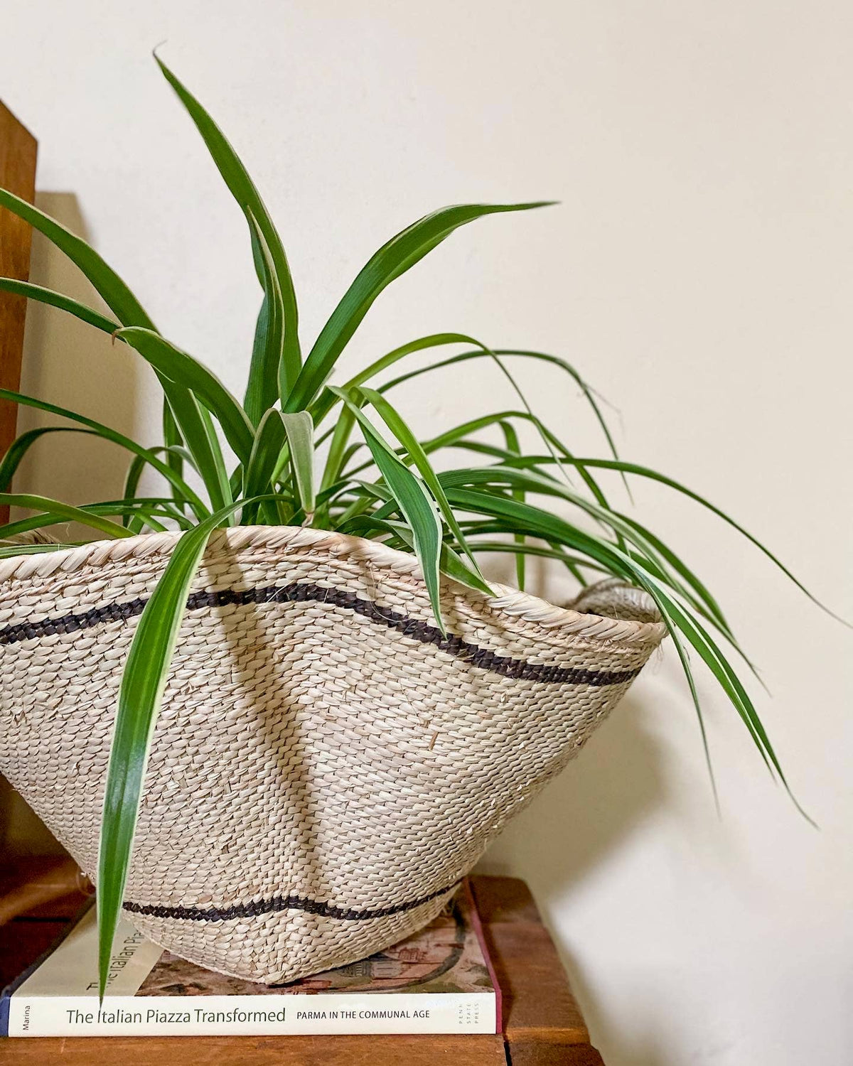 Striped Palm Leaf Dancing Basket