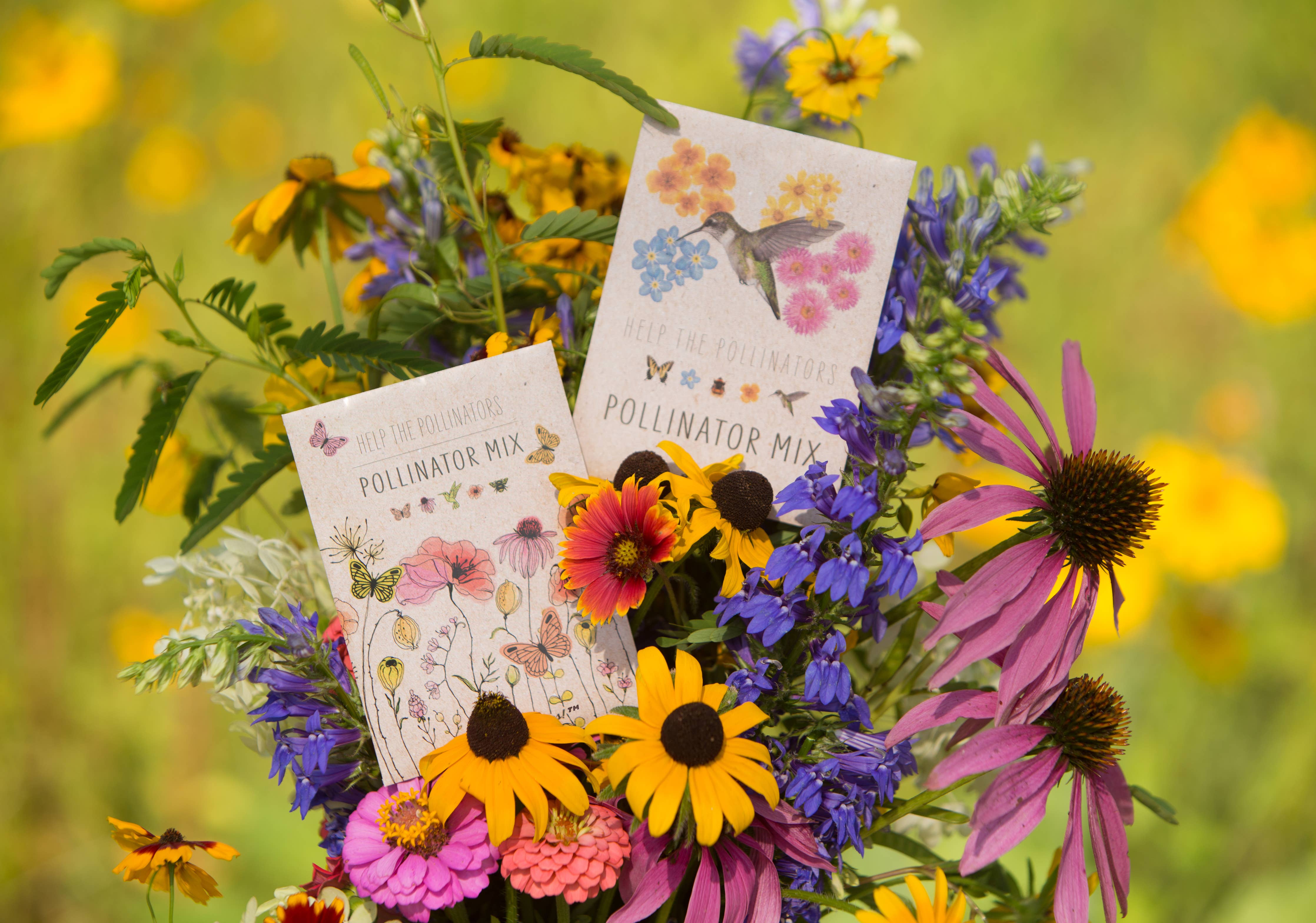 Butterfly - Pollinator Wildflower Mix Seed Packets