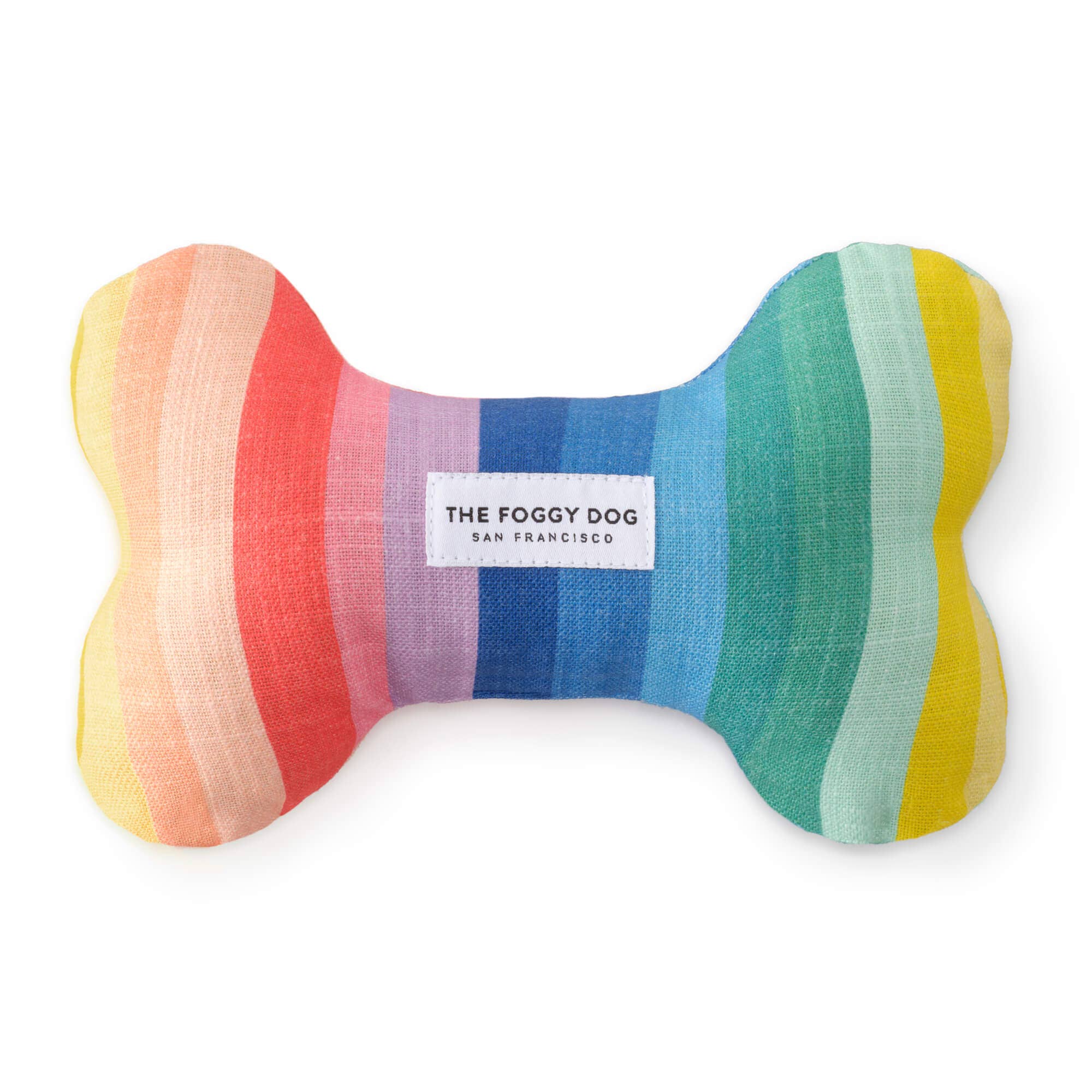 Rainbow Dog Bone Squeaky Toy