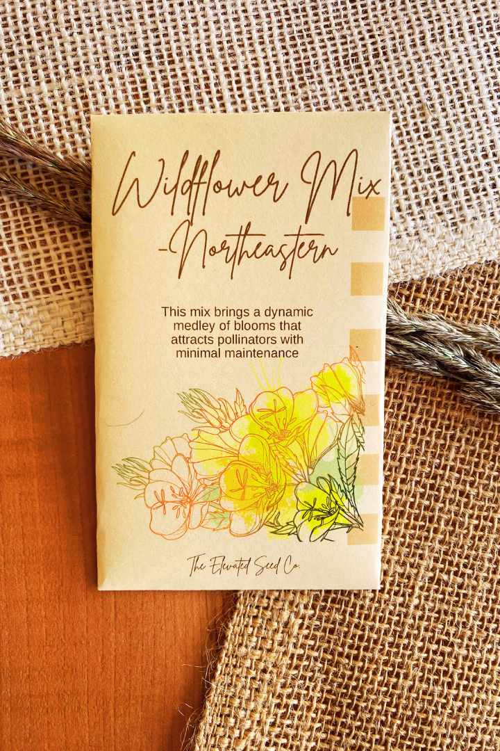 Northeastern Wildflower Garden Seed Mix