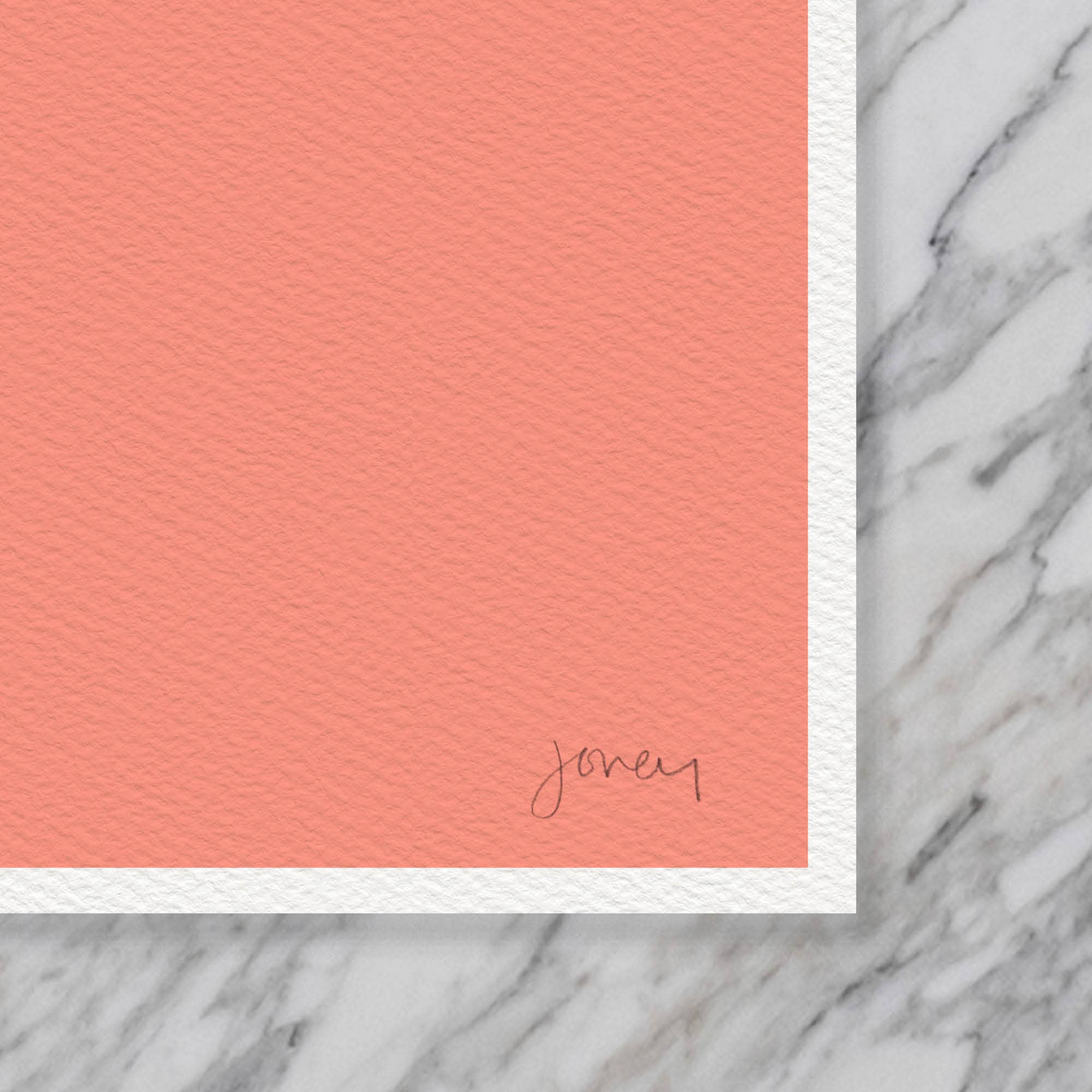 Paperwhite Flowers Art Print 8"x10"