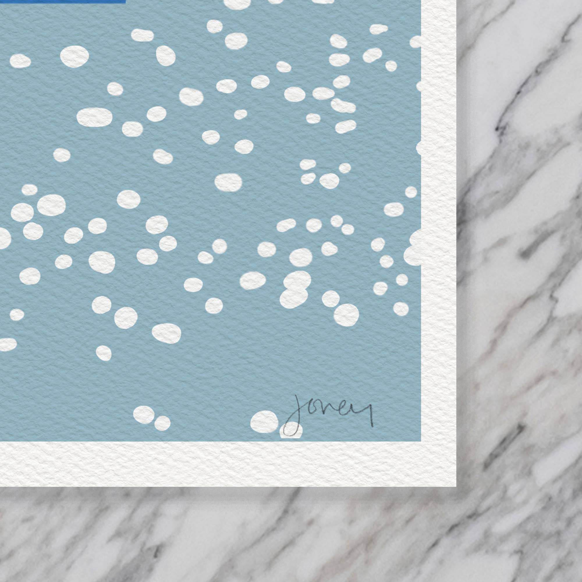 Seagull on Water Art Print 8"x10"