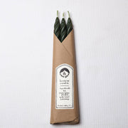 Pine Spiral Handmade Beeswax Taper Candles - Set of 3