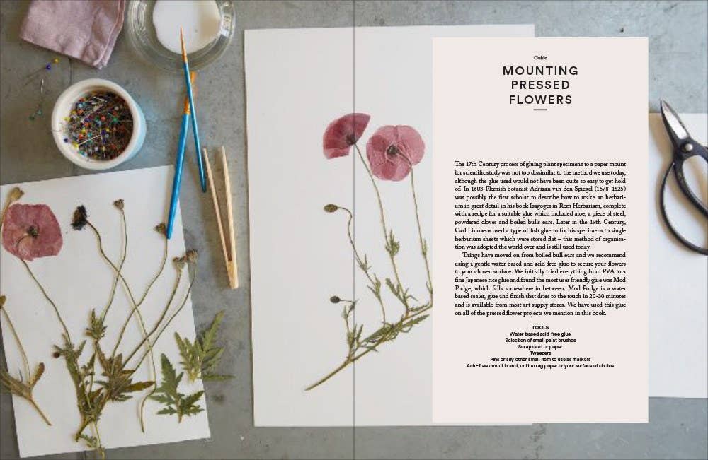The Modern Flower Press Book