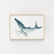 8"x10" Watercolor Humpback Whale Print