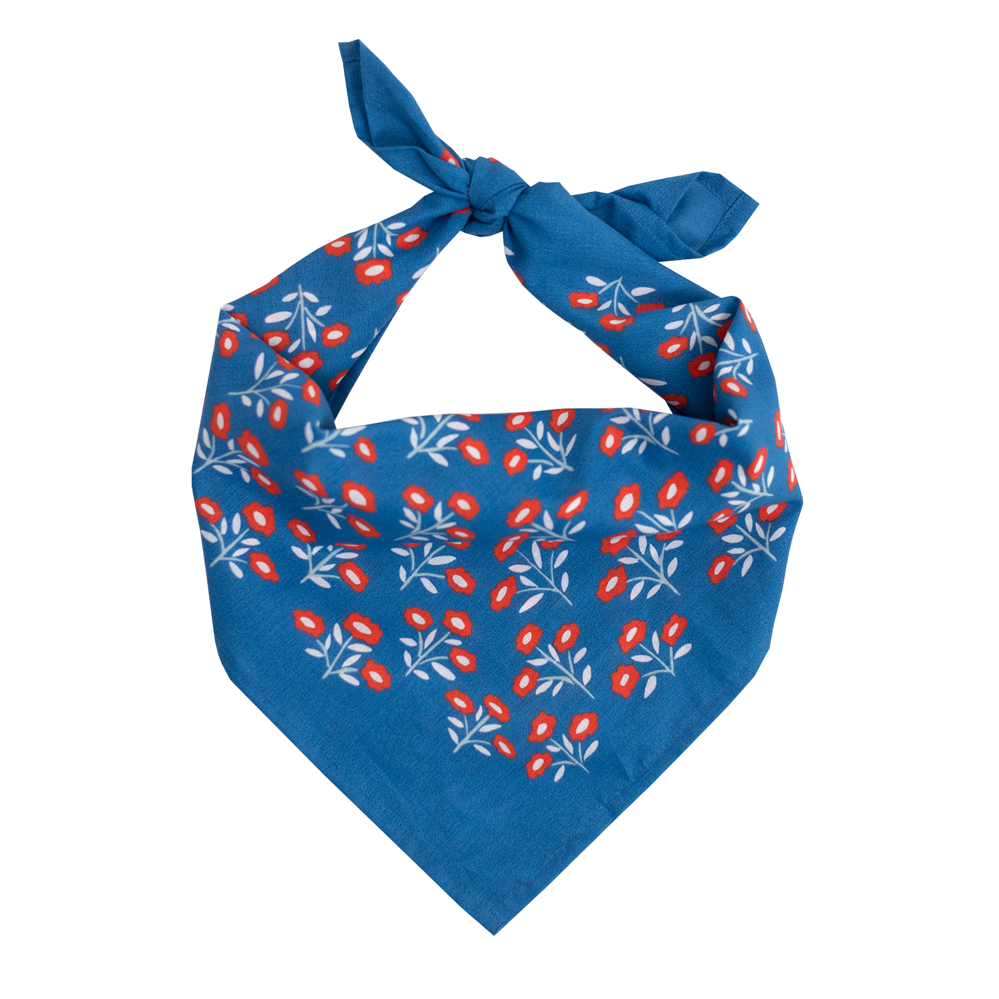 Blue and Red Cotton Bandana