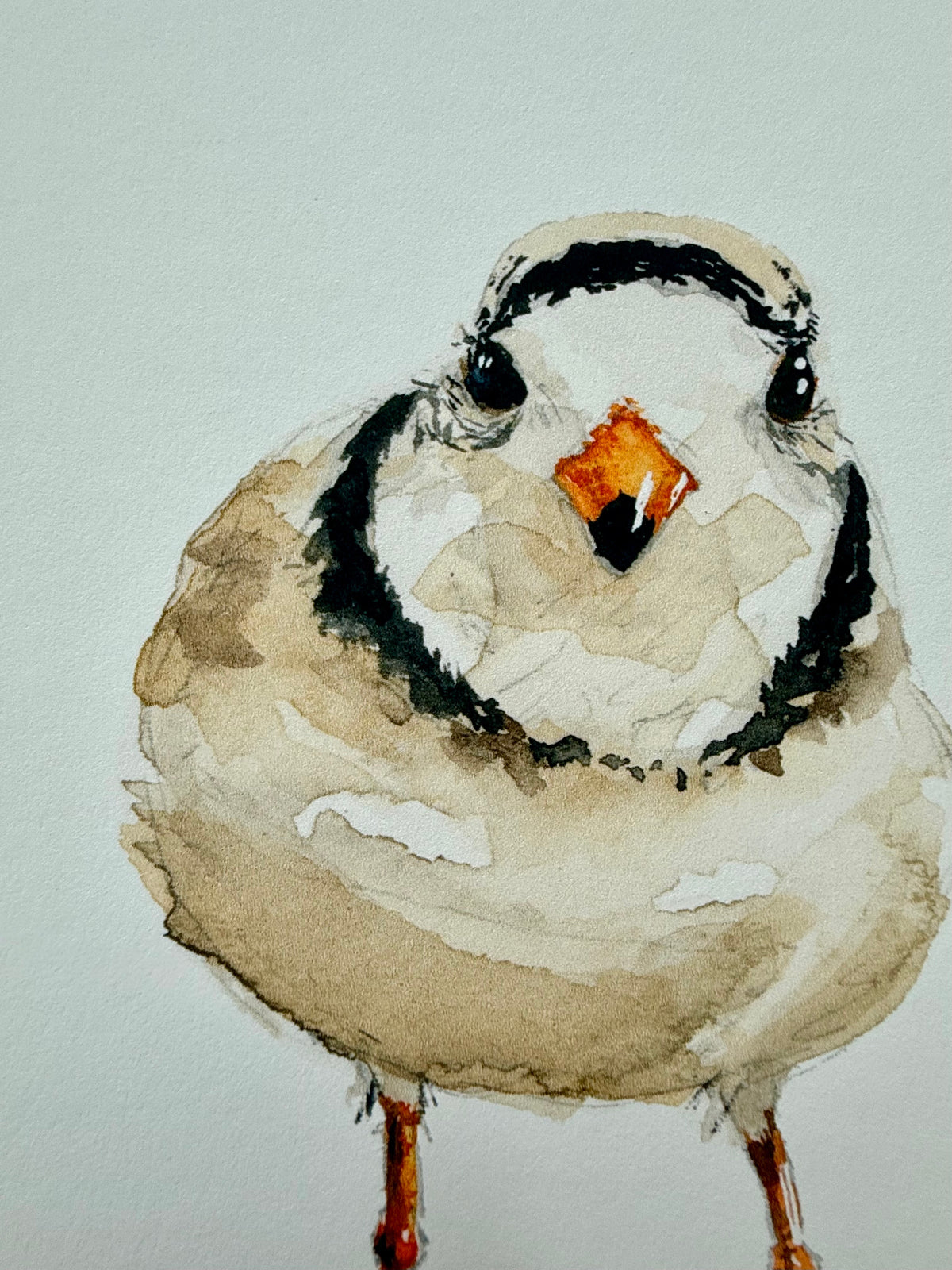 Piping Plover Watercolor Art Print by Provan Slys Smith