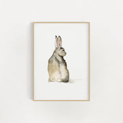 8"x10" Watercolor Cottontail Bunny Print