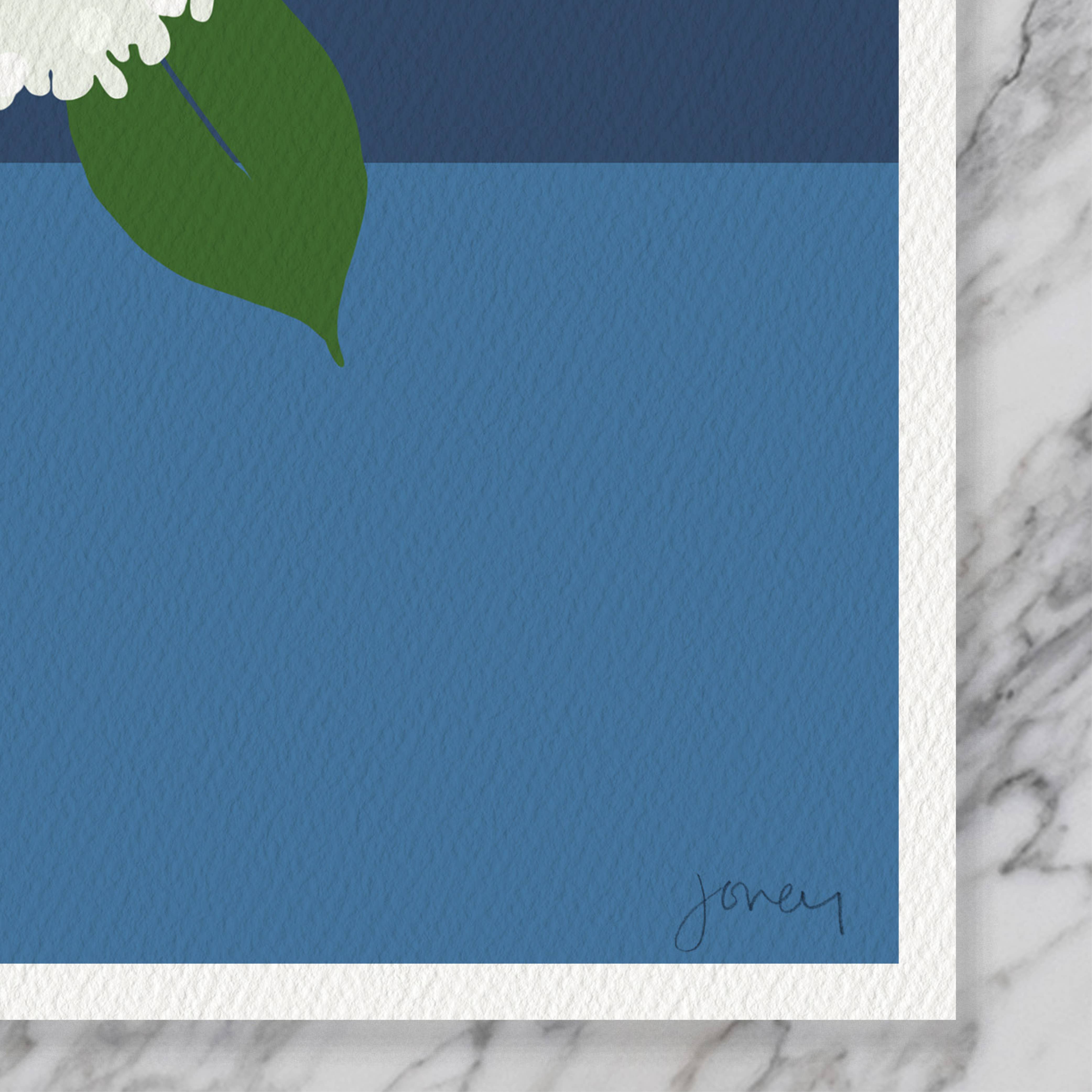 White Hydrangea Art Print 8"x10"