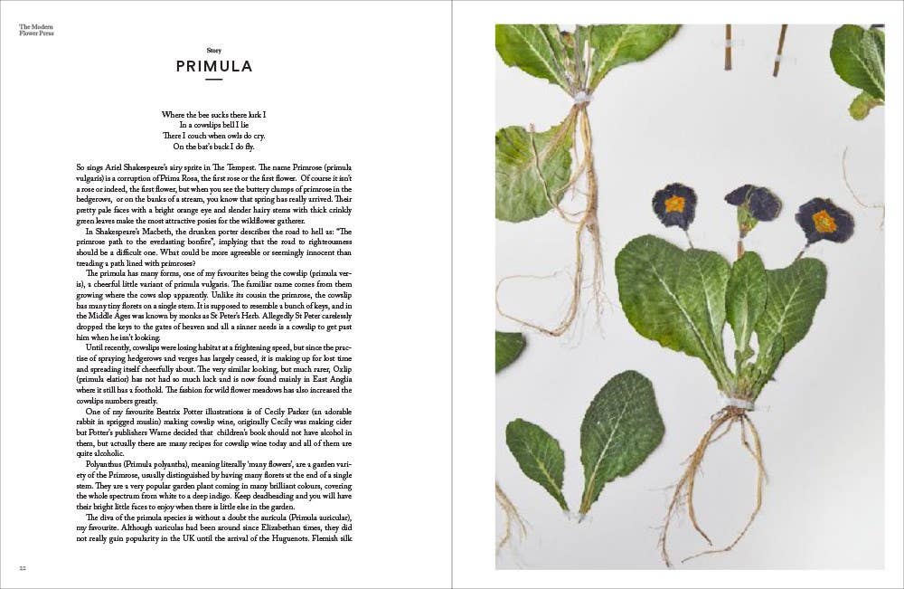 The Modern Flower Press Book
