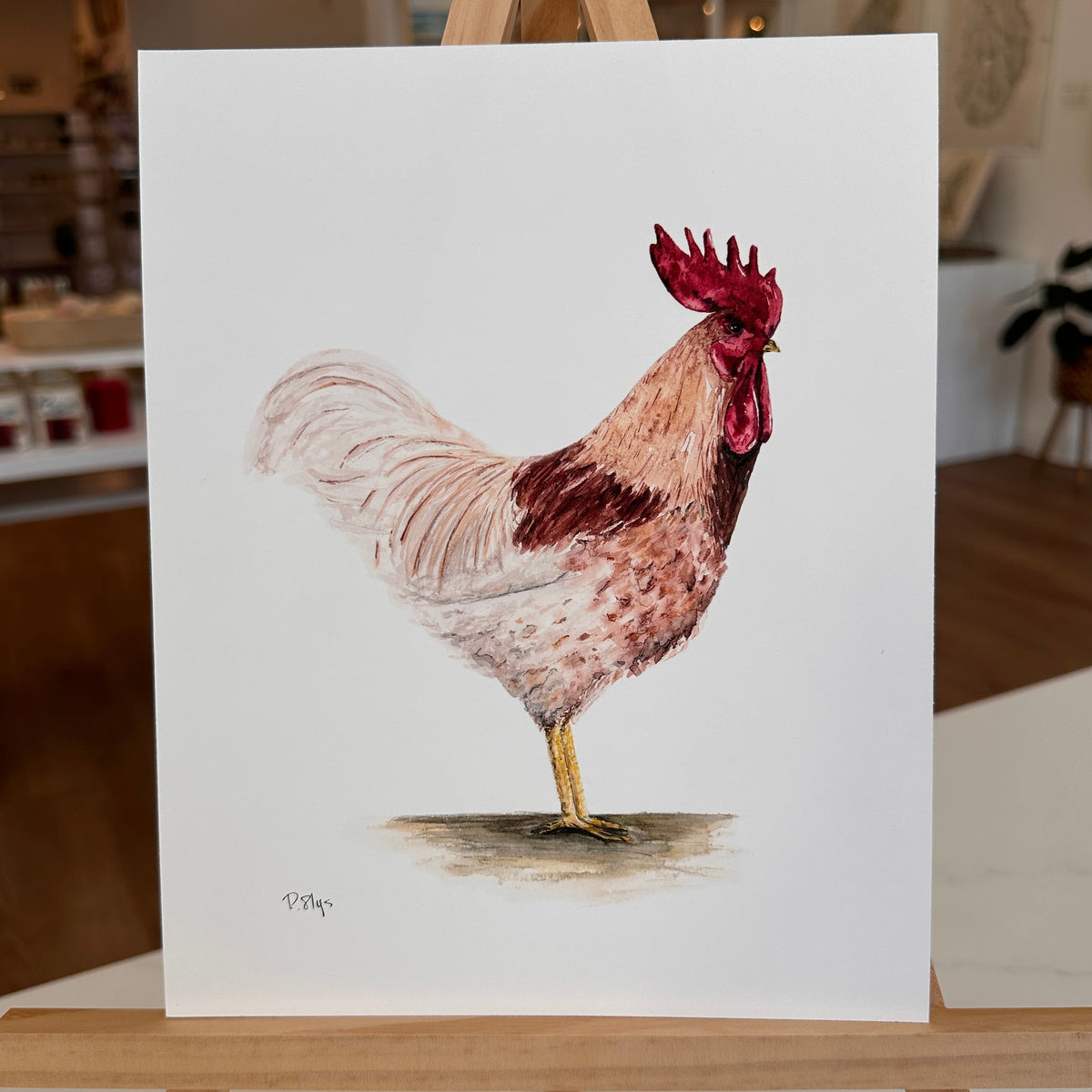 Rooster Watercolor Art Print by Provan Slys Smith