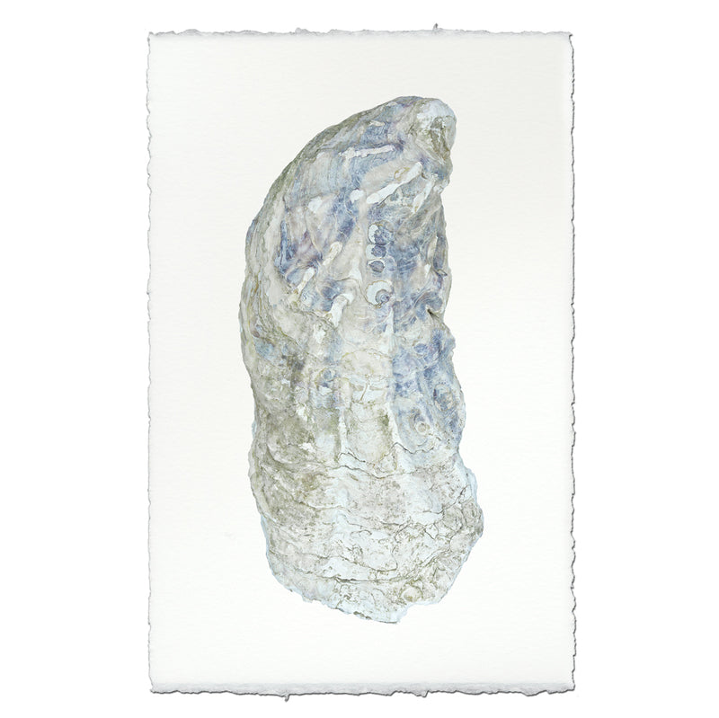 Oyster #10 - 9"x14" Art Print on Nepalese Handmade Paper
