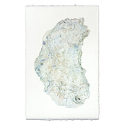 Oyster #14 - 9"x14" Art Print on Nepalese Handmade Paper