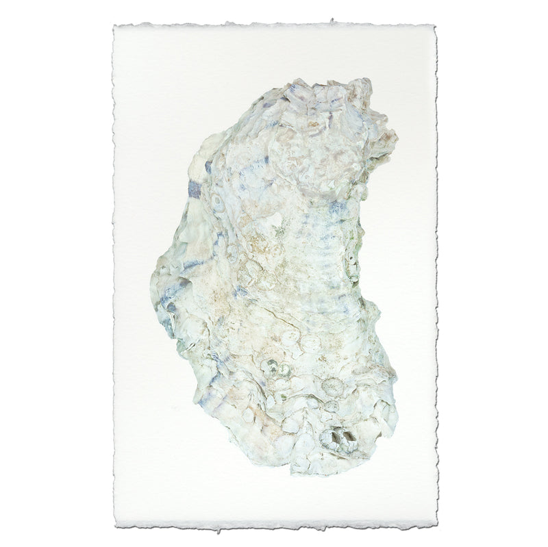 Oyster #14 - 9"x14" Art Print on Nepalese Handmade Paper