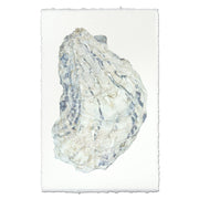 Oyster #15 - 9"x14" Art Print on Nepalese Handmade Paper