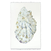 Oyster #2 - 9"x14" Art Print on Nepalese Handmade Paper