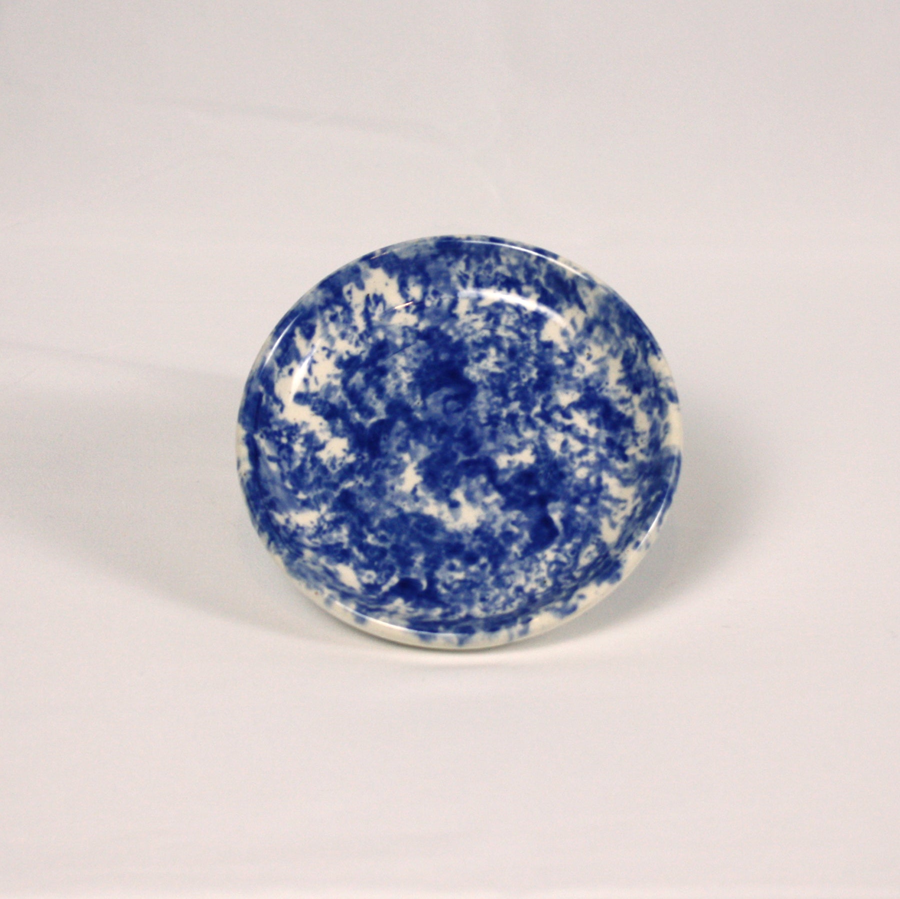 Blue Sponge Dish
