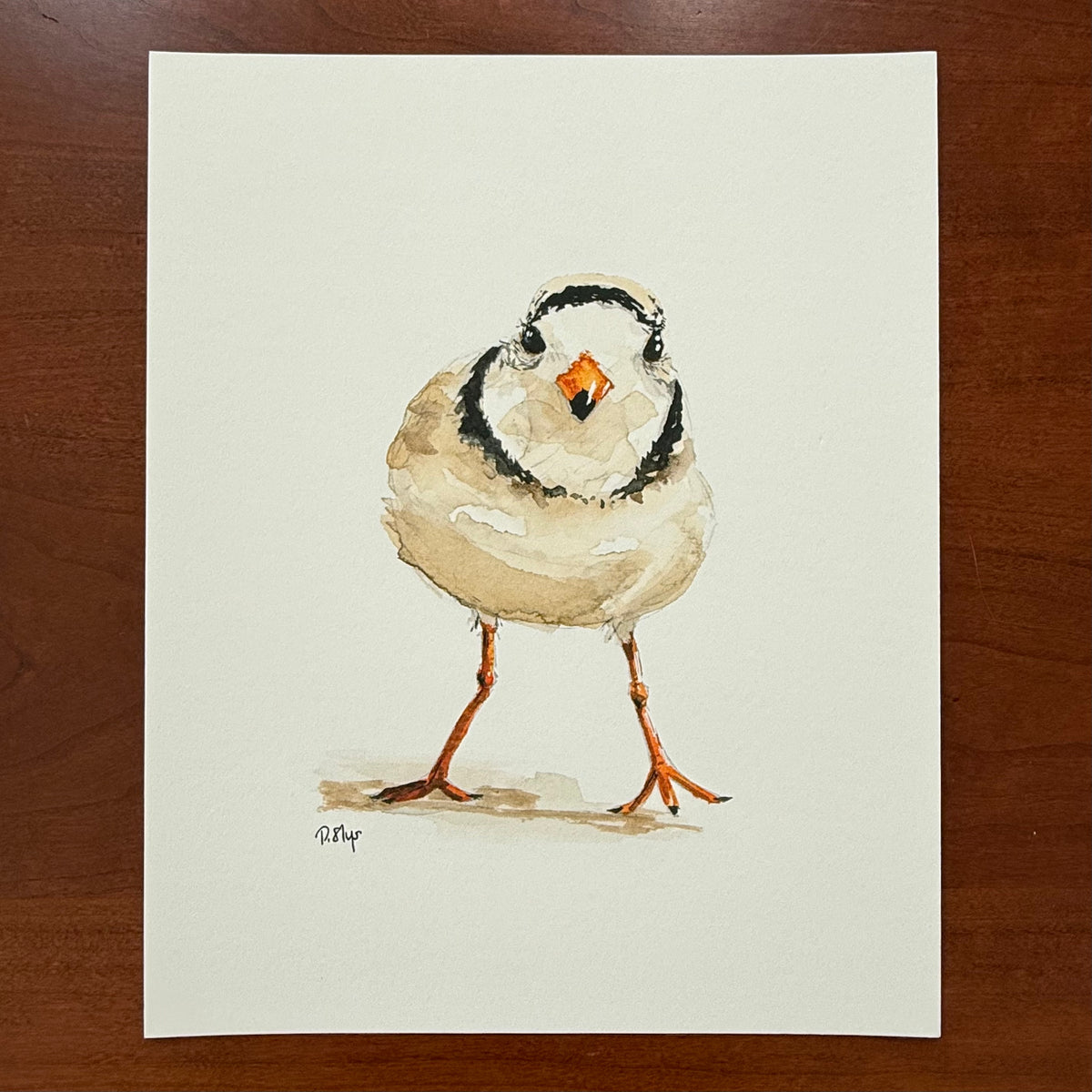 Piping Plover Watercolor Art Print by Provan Slys Smith