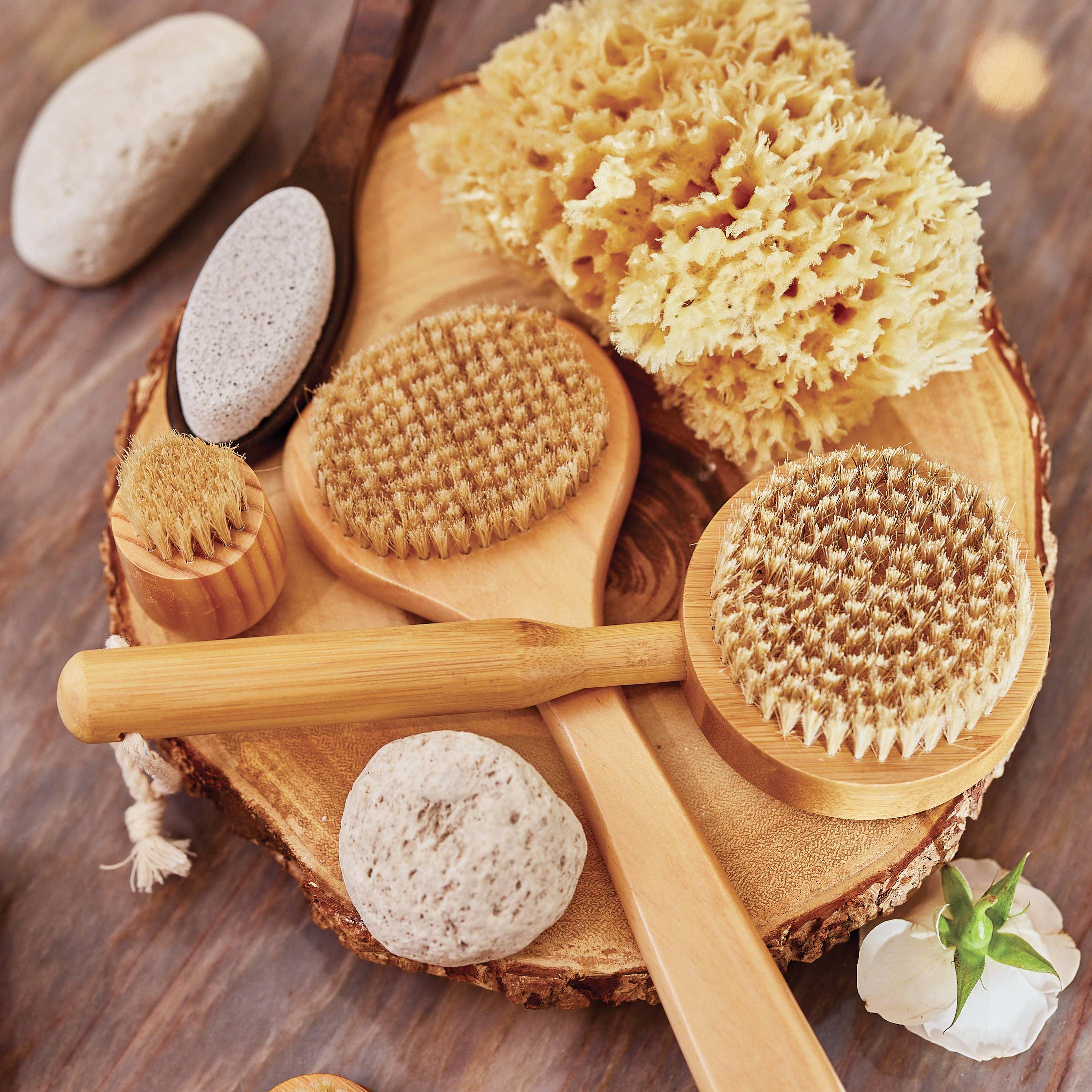 Sea Sponge - Large