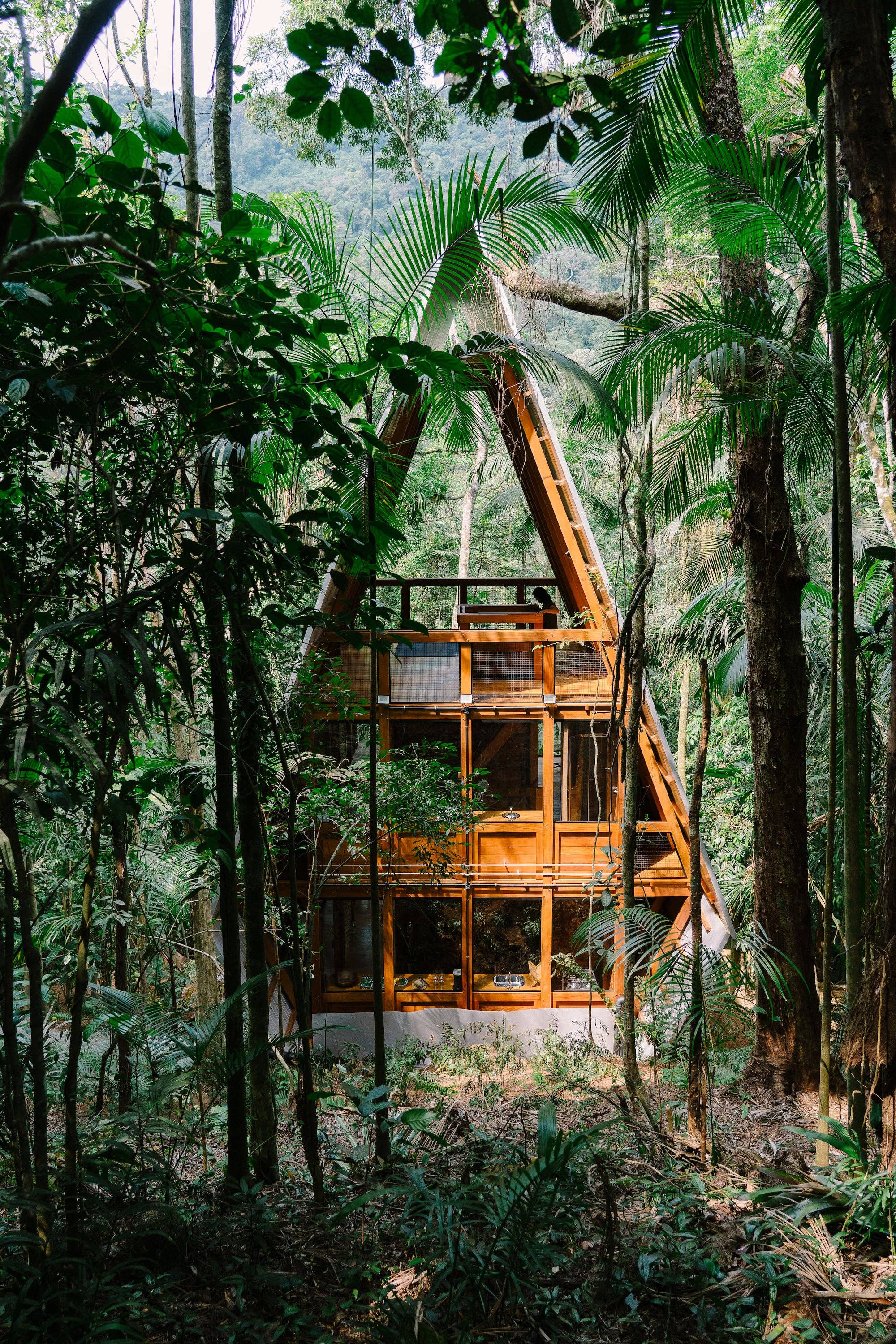 Cabin Fever  Coffee Table Book