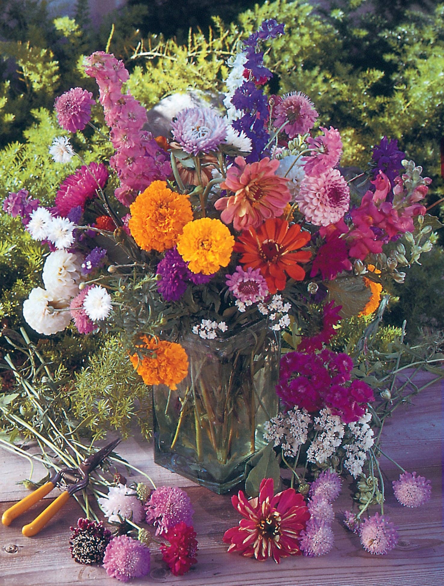 Kraft Butterfly - Help the Pollinator Wildflower Seed Packets