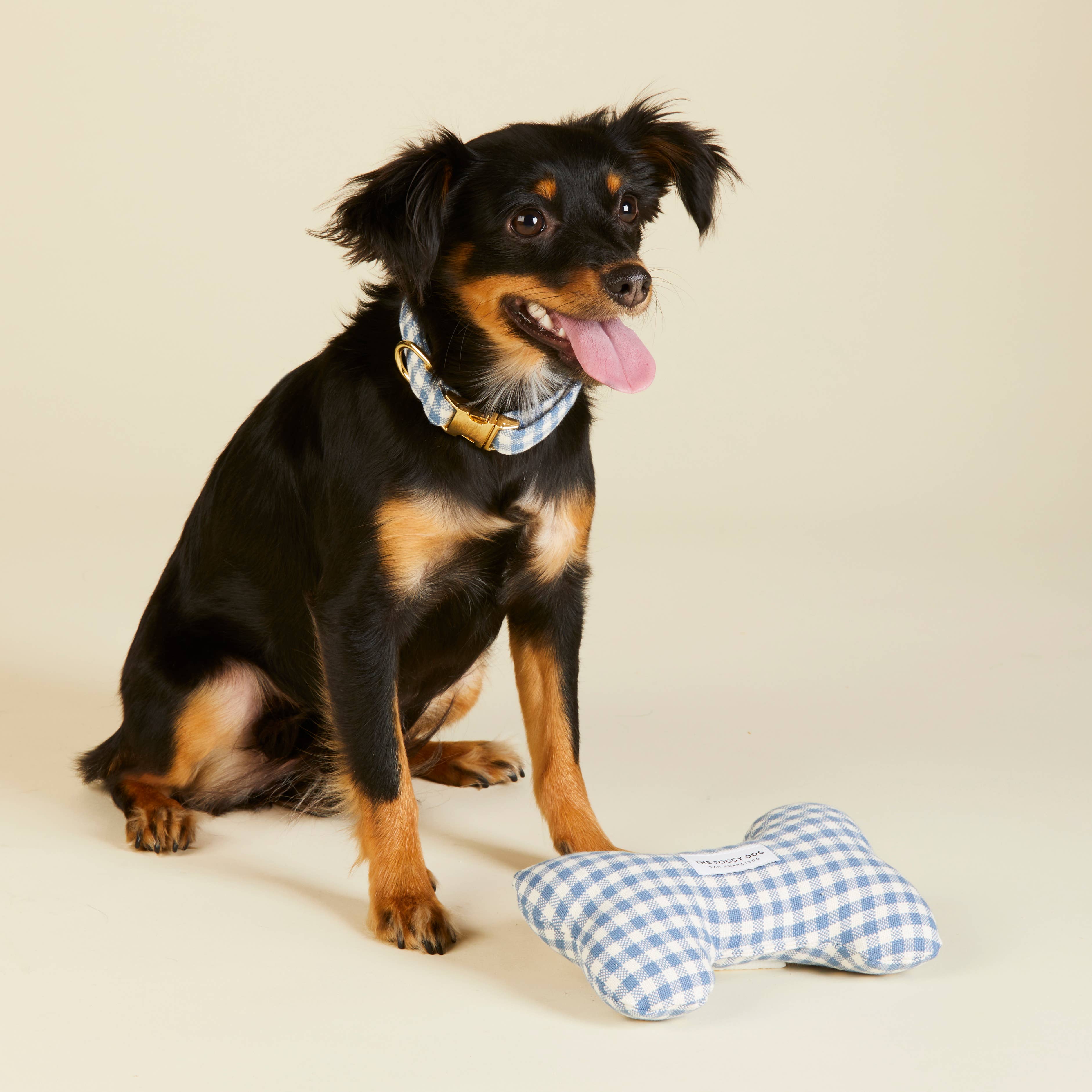 Blue Gingham Dog Bone Squeaky Toy