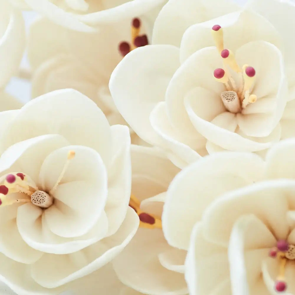 Flower Diffuser Reed Add-on