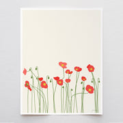Poppies Art Print 8"x10"