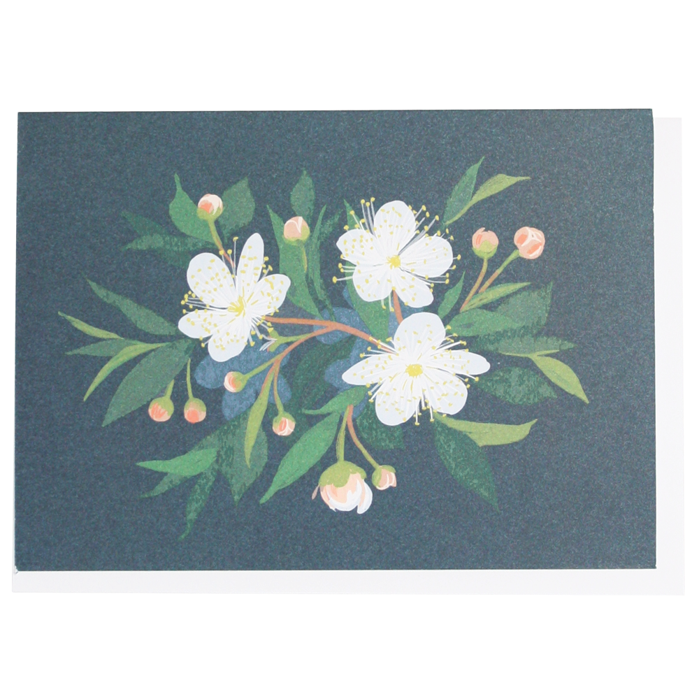 Myrtle Note Card Boxed Set