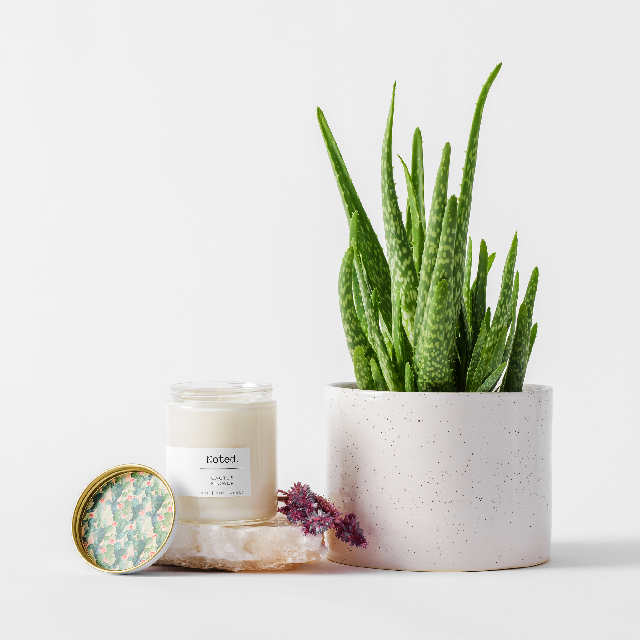 Cactus Flower 8oz Candle